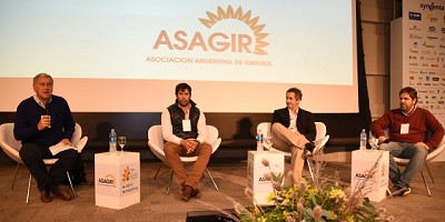 Conocer y planificar, la clave del éxito para el girasol