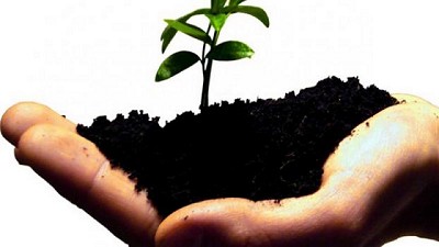 El cuidado de los suelos, en lucha constante contra la degradación