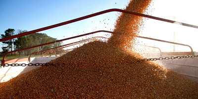 La cosecha 2018-2019 consolida su récord