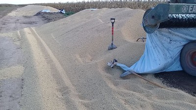 Ataque a bolsas para silo en Córdoba, pérdidas de más de 50 mil dólares; con D. Chincuini