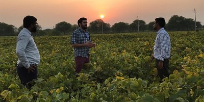 Argentina abrirá una Agregaduría Agrícola en India