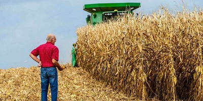 Cuando lo inesperado se vuelve costumbre en el mercado, por Diego de la Puente