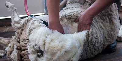 Agroindustria financia la ampliación de una cooperativa de pequeños productores en Río Negro