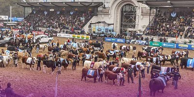 Semana de la carne en la Rural
