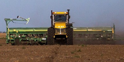 A un mes y medio de la siembra: prevén una suba del 7% en la superficie con maíz