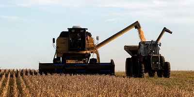 El USDA estimó una menor cosecha de soja en Estados Unidos