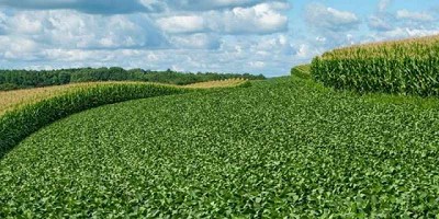 Sorpresa en EEUU: el cambio climático ayuda a la producción de soja y maíz