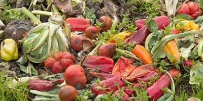 Desperdicio de alimentos: utilizar la innovación sostenible para reducir lo que tiramos