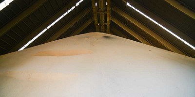 Molienda de soja: durante junio se industrializaron 9 de cada 10 toneladas