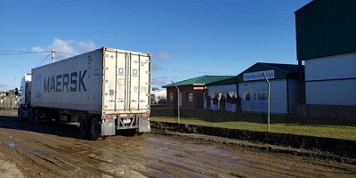 Argentina realiza la primera exportación de cordero a Japón