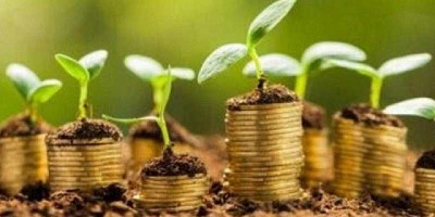 Dos nuevas plataformas ofrecen los últimos conocimientos sobre finanzas verdes y negocios verdes