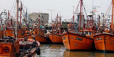 Crecieron los desembarques de productos pesqueros en puertos de la Provincia de Buenos Aires