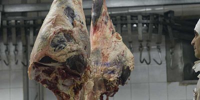 Agroindustria contra la evasión en la actividad cárnica
