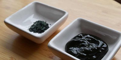 Algas que nutren ideas