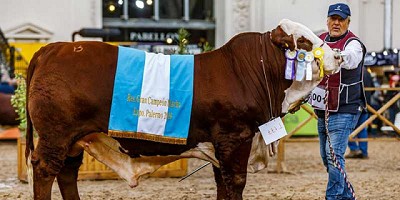 Rural de Palermo: la genética cordobesa, otra vez en lo más alto