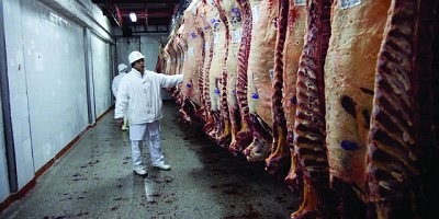 Romaneos y listas de matanza en plataforma SIF