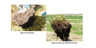 El cuidado de los suelos, en lucha constante contra la degradación