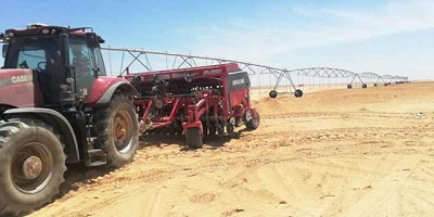 Apache pone las sembradoras para un proyecto de 70.000 hectáreas en Egipto