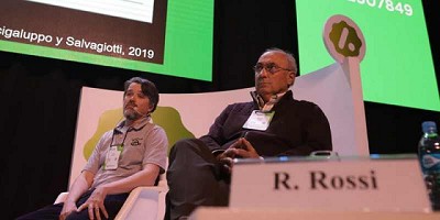 Producción de soja: enfoques sobre el cultivo y el sistema