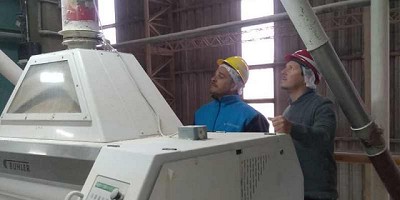 Continúan los operativos para blanquear el volumen de molienda