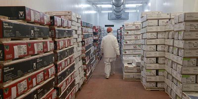 El volumen de las exportaciones de alimentos creció 15% durante el primer semestre de 2019