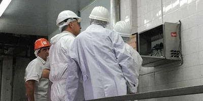 Amplían a la especie porcina los controles de las Cajas Negras