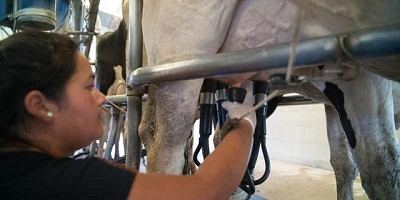 Agricultura entrega más de 4 millones de pesos a pequeños y medianos productores entrerrianos