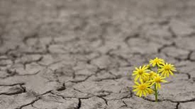 Hacia una actitud RESILIENTE y  ATENTA del campo; por Ricardo Bindi