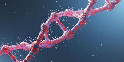 EE.UU: edición genómica para lograr mejores cultivos bioenergéticos