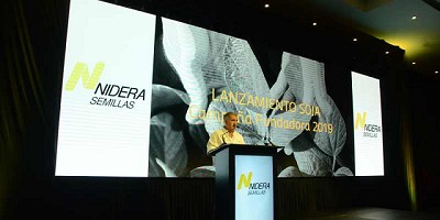 La soja más sembrada del país ya tiene quién la supere