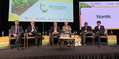 La soja sigue siendo el refugio de los productores frente a la incertidumbre