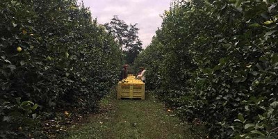 El RENATRE fiscalizó a más de 1550 trabajadores rurales en 16 provincias