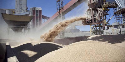 Acuerdo histórico: Argentina ingresará a China con su Harina de Soja