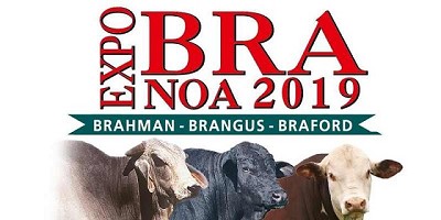 Hoy comienza la 13° edición de EXPOBRA