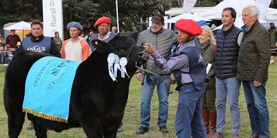 Los terneros Angus fueron los protagonistas en el primer día de La Nación Ganadera
