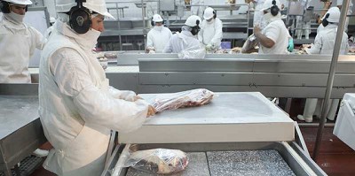 China autorizó ocho establecimientos argentinos de carne bovina para exportar
