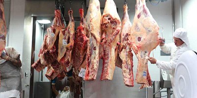 En los primeros 7 meses de 2019 las exportaciones agroindustriales crecieron un 20,3%