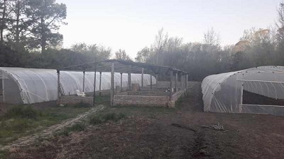 Las productoras de hongos de Rivadavia ya cuentan con nuevas herramientas para seguir creciendo