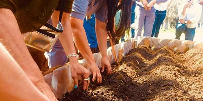 Proyecto de Huerta Orgánica en establecimiento penitenciario