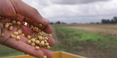 Una corredora de granos quedó al borde del default con un rojo que llegaría hasta US$100 millones