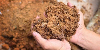 Argentina busca avanzar con el uso de bioinsumos hacia una producción agrícola sustentable y diferenciada