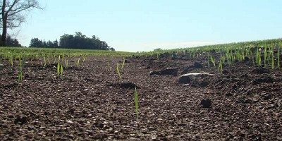 El 36 % del suelo argentino sufre procesos de erosión