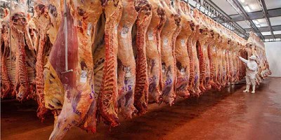 Carne: Buenos Aires concentra el 51% de la producción y genera un 55% récord en exportaciones