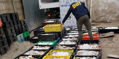 Realizan 10 allanamientos por lavado de activos en Pehuajó