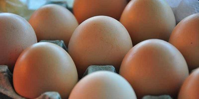 Se celebra la Semana Mundial del Huevo