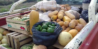 Agricultura otorga el quinto sello 