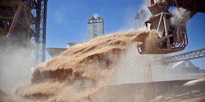 Importantes cambios y beneficiosos en el RUCA para el sector granario