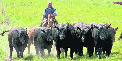 Precio del gordo “se sigue ajustando” y logra valores que “sorprenden”