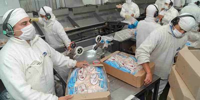 Las exportaciones de alimentos y bebidas aumentaron 10,4% en agosto