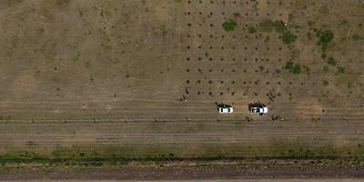 Forestación: una red de ensayos en toda la provincia